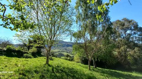 Terreno en venta en Camino de la Iglesia a Tarna, 327, Baldornon, Asturias - imagen 4 Foto 4 de Terreno en venta en Camino de la Iglesia a Tarna, 327, Baldornon, Asturias