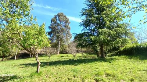 Terreno en venta en Camino de la Iglesia a Tarna, 327, Baldornon, Asturias - imagen 2 Foto 2 de Terreno en venta en Camino de la Iglesia a Tarna, 327, Baldornon, Asturias