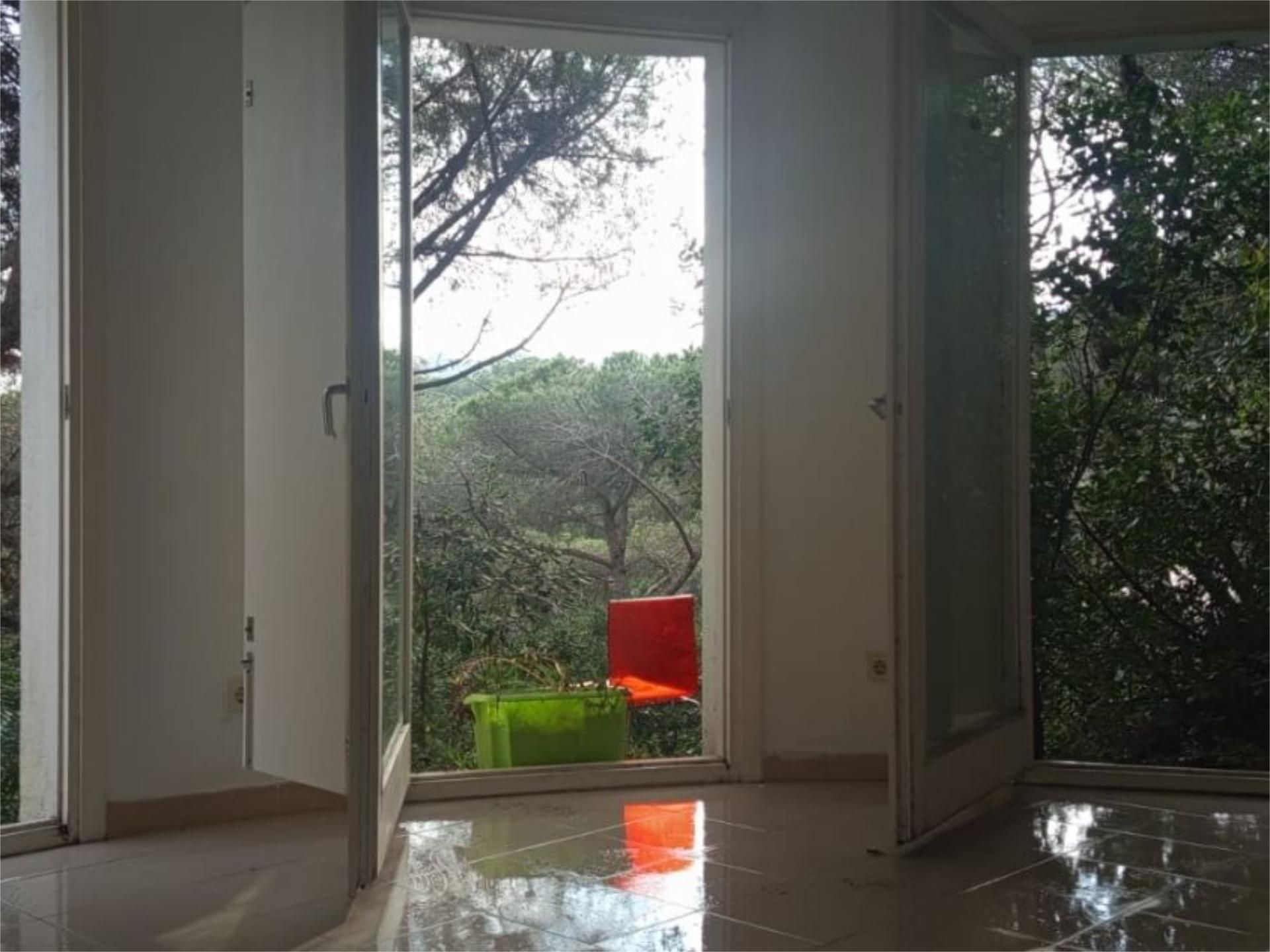 Jardí de Loft de lloguer en Sant Andreu de Llavaneres