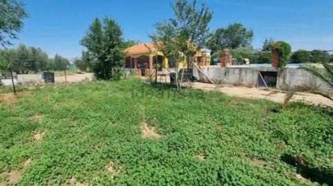 Casa o chalet en venta en Plaza Ayuntamiento, 1, Argamasilla de Calatrava, Ciudad Real - imagen 2 Foto 2 de Casa o chalet en venta en Plaza Ayuntamiento, 1, Argamasilla de Calatrava, Ciudad Real