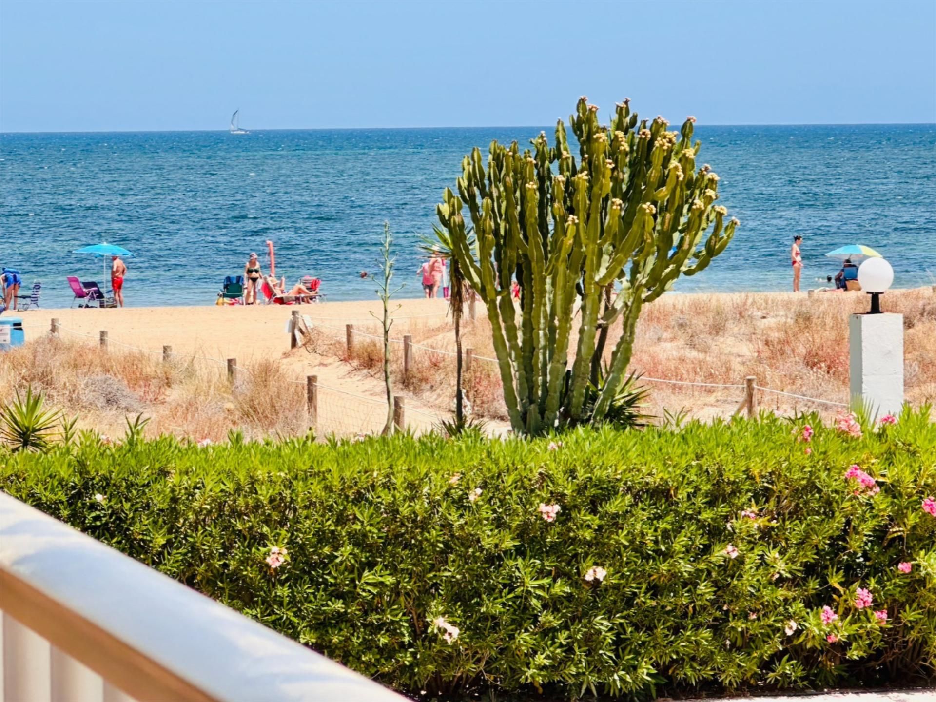 Flat to rent in Carrer de la Mussola, 4, Les Bassetes - El Marjal Garden of Flat to rent in Dénia  with Furnished, Community parking and Balcony