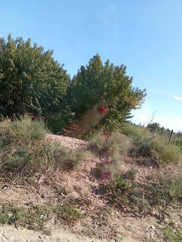 Terreno en Venta en Carrer Capellanies, 29 en Alcarràs