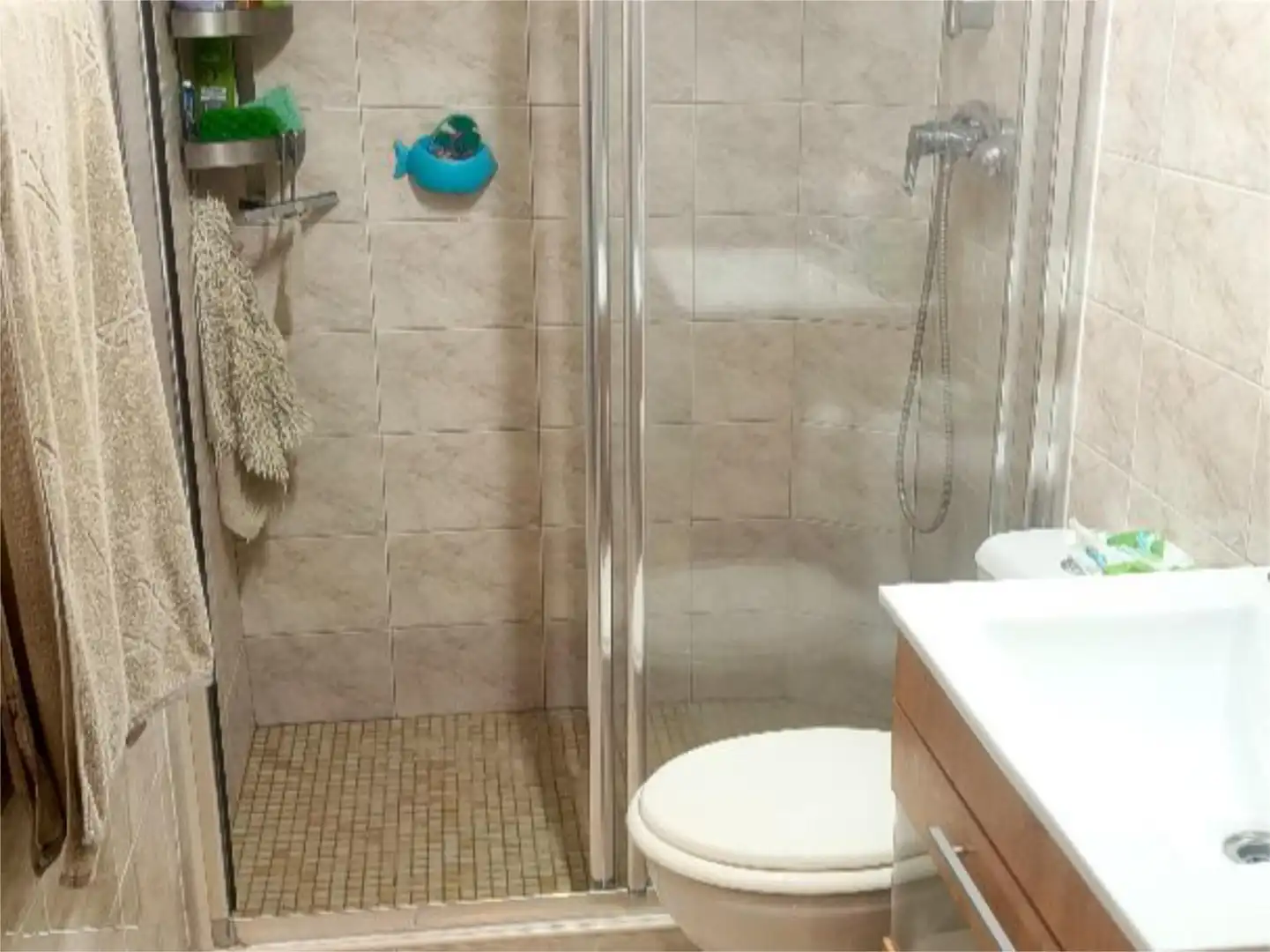 Flat for sale in Avinguda Farners, 2, Santa Coloma de Farners Bathroom of Flat for sale in Santa Coloma de Farners with Heating, Private garden and Terrace