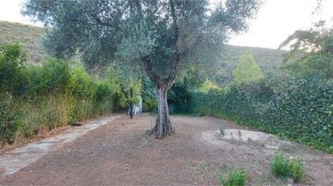 Photo 3 of Single-family semi-detached for sale in Piedrabuena, Ciudad Real