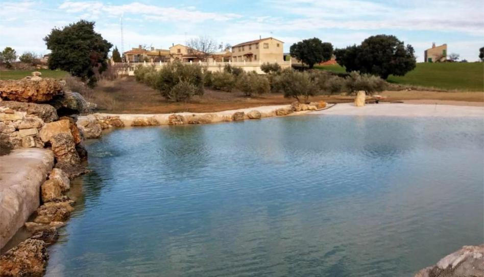 Foto 1 de Finca rústica en venda a Calle Albacete, 1, Munera, Albacete