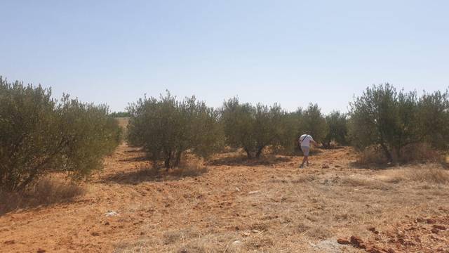 Terreno en Venta en Calle Mejillón, 23 en San Jerónimo - La Bachillera