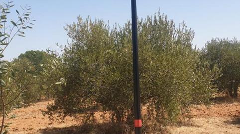 Terreno en venta en Calle Mejillón, 23, San Jerónimo - La Bachillera, Sevilla Capital - imagen 2 Foto 2 de Terreno en venta en Calle Mejillón, 23, San Jerónimo - La Bachillera, Sevilla Capital