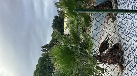 House or chalet for sale in Calle del Pino, 45a, Los Balcones - Los Altos, Alicante - image 5 Photo 5 of House or chalet for sale in Calle del Pino, 45a, Los Balcones - Los Altos, Alicante