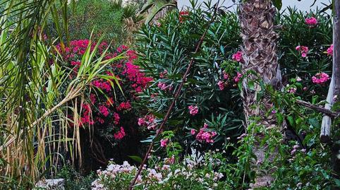 Flat for sale in Calle Romero, 9, Los Cármenes - Cerro Gordo, Granada - image 3 Photo 3 of Flat for sale in Calle Romero, 9, Los Cármenes - Cerro Gordo, Granada