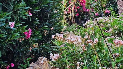 Flat for sale in Calle Romero, 9, Los Cármenes - Cerro Gordo, Granada - image 4 Photo 4 of Flat for sale in Calle Romero, 9, Los Cármenes - Cerro Gordo, Granada