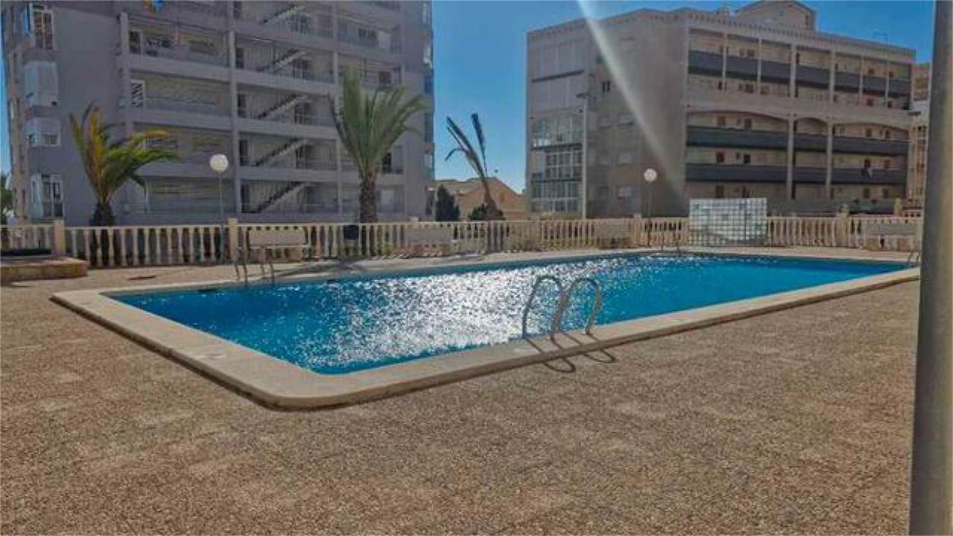 Apartment for sale in Los Arenales del Sol Swimming pool of Apartment for sale in Elche / Elx  with Terrace and Swimming Pool