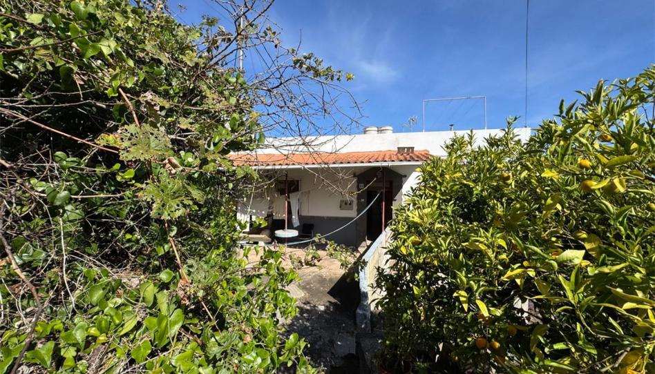 Flat for sale in Lugar Carpinteras, 33, Valleseco, Las Palmas - image 1 Photo 1 of Flat for sale in Lugar Carpinteras, 33, Valleseco, Las Palmas