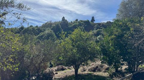 Flat for sale in Lugar Carpinteras, 33, Valleseco, Las Palmas - image 4 Photo 4 of Flat for sale in Lugar Carpinteras, 33, Valleseco, Las Palmas