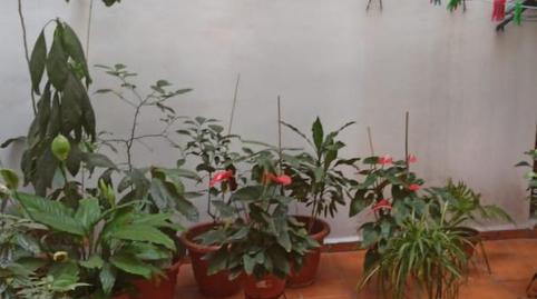 Flat for sale in Calle Lorenzo Leal, 1, El Tardón - El Carmen, Sevilla - image 4 Photo 4 of Flat for sale in Calle Lorenzo Leal, 1, El Tardón - El Carmen, Sevilla