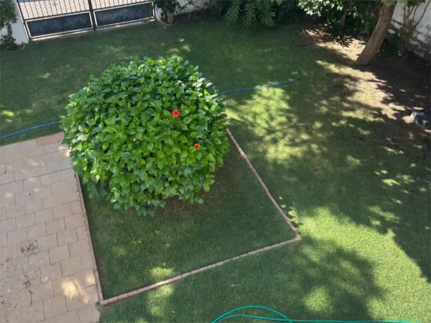 Garden of Flat for sale in Rota  with Private garden, Terrace and Storage room