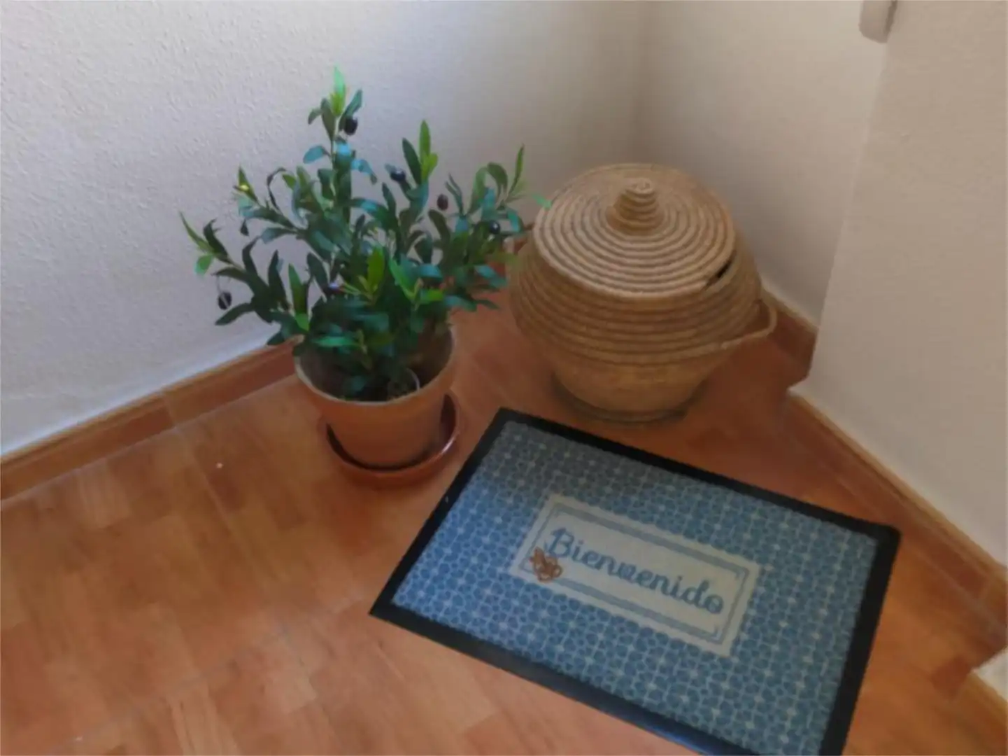 Flat for rent in Calle Eugenio Gross, 27, Los Castillejos - La Trinidad Flat for rent in Calle Eugenio Gross, 27, Los Castillejos - La Trinidad