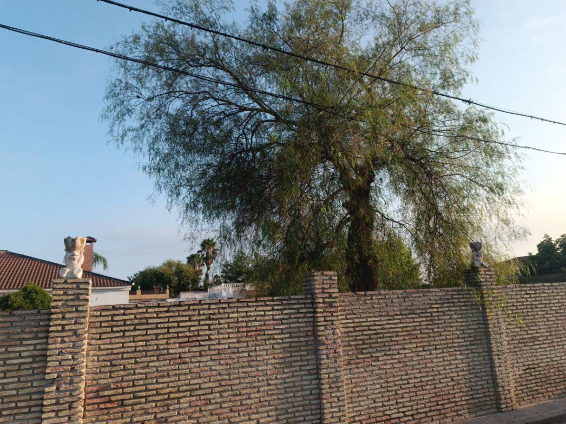 Vista exterior de Casa o xalet en venda en Utrera amb Terrassa i Piscina