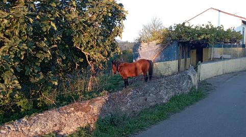 Finca rústica en venda a Lugar Castro, 6032a, Parroquias Norte, Asturias - imatge 2 Foto 2 de Finca rústica en venda a Lugar Castro, 6032a, Parroquias Norte, Asturias