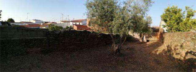 Casa-chalet en Venta en Villanueva del Fresno