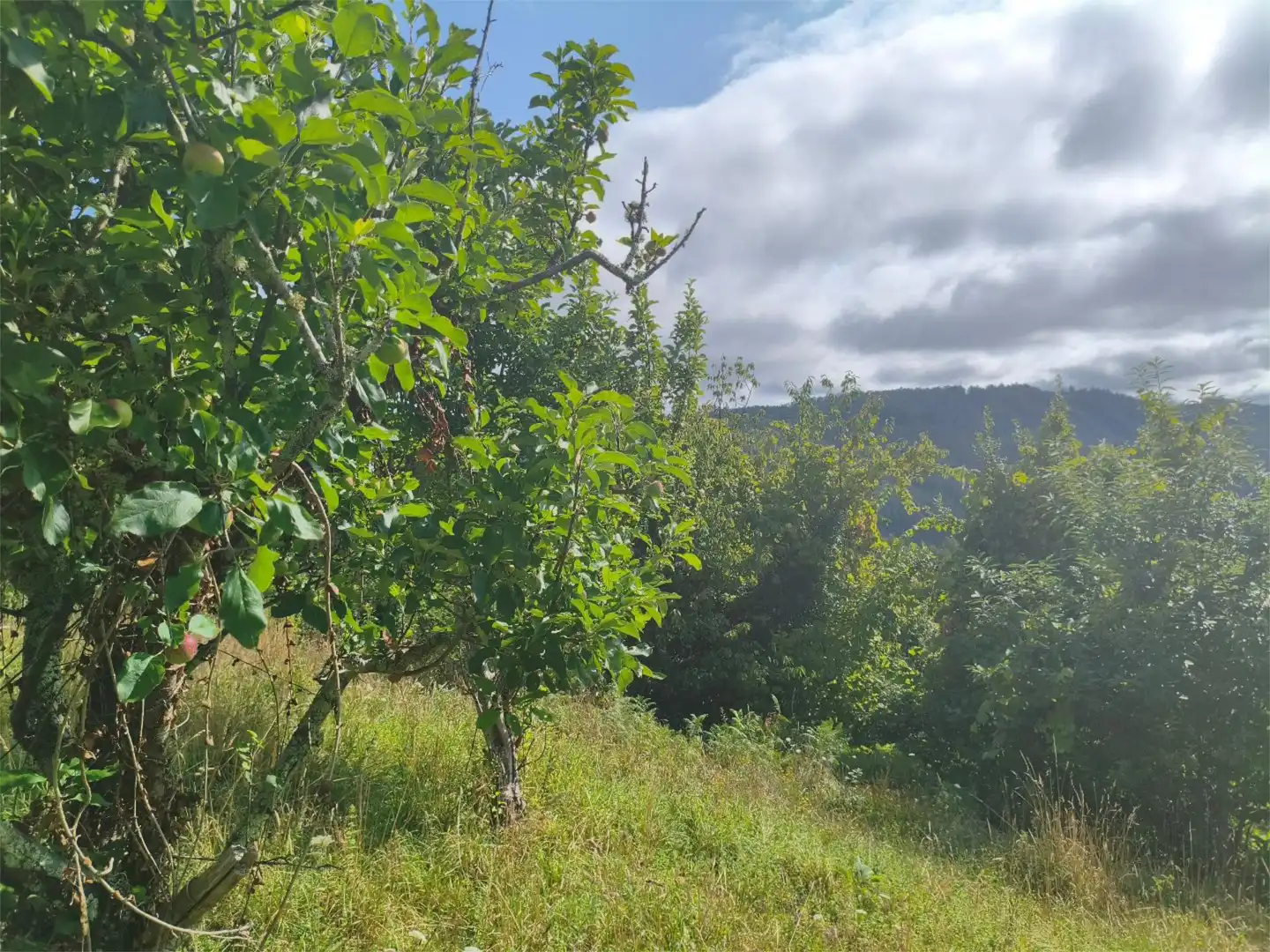 Flat for sale in Ourol  with Private garden