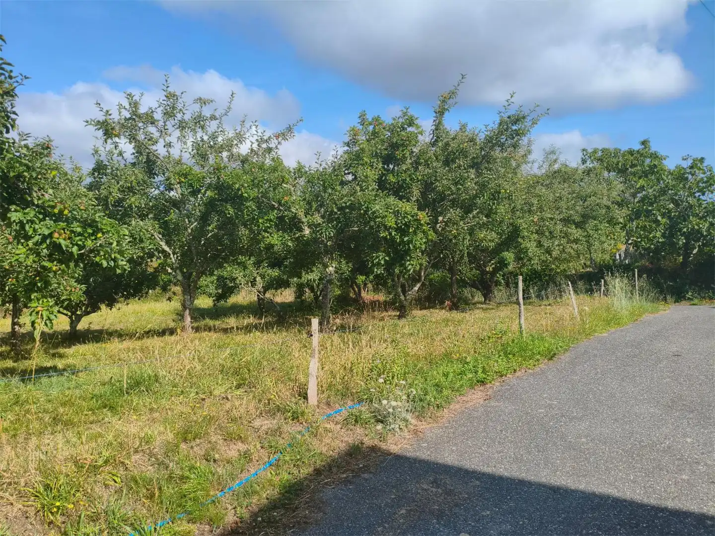 Flat for sale in Ourol  with Private garden
