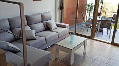 Casa o xalet de lloguer a Calle Conrado Albadalejo, 37, Alicante Golf, Alicante - imatge 3 Foto 3 de Casa o xalet de lloguer a Calle Conrado Albadalejo, 37, Alicante Golf, Alicante