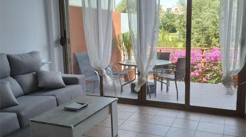 Casa o xalet de lloguer a Calle Conrado Albadalejo, 37, Alicante Golf, Alicante - imatge 4 Foto 4 de Casa o xalet de lloguer a Calle Conrado Albadalejo, 37, Alicante Golf, Alicante