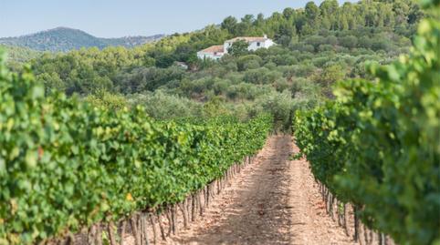 Photo 5 of Country house for sale in Bv-2242, 1, Piera, Barcelona