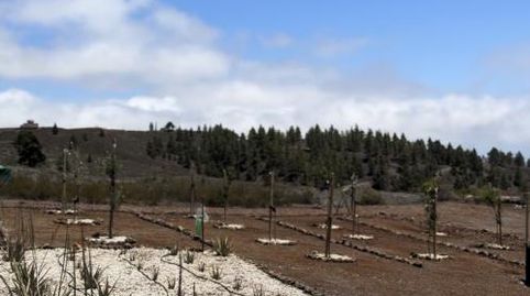 Foto 3 de Finca rústica en venta en Vilaflor de Chasna, Santa Cruz de Tenerife