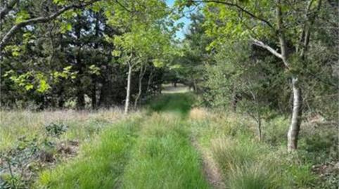 Foto 2 de Casa adosada en venda a San Martín de la Virgen de Moncayo, Zaragoza