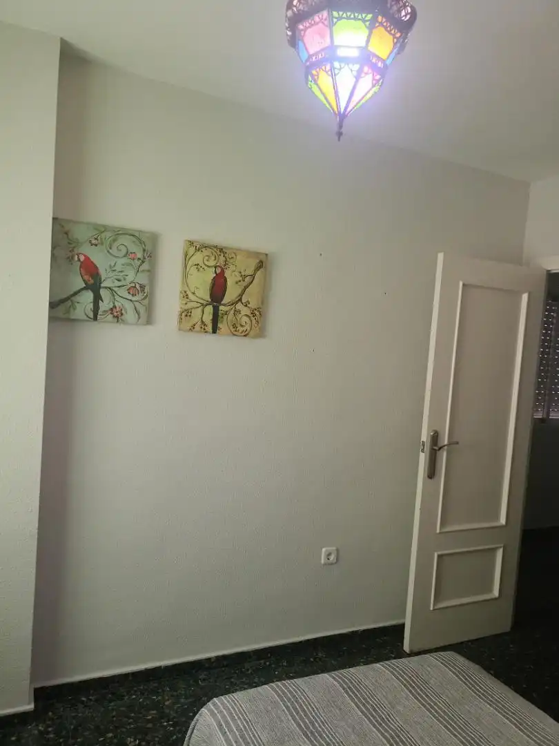Piso de alquiler en Calle Blasco Ibáñez, 14, Centro Piso de alquiler en Calle Blasco Ibáñez, 14, Centro