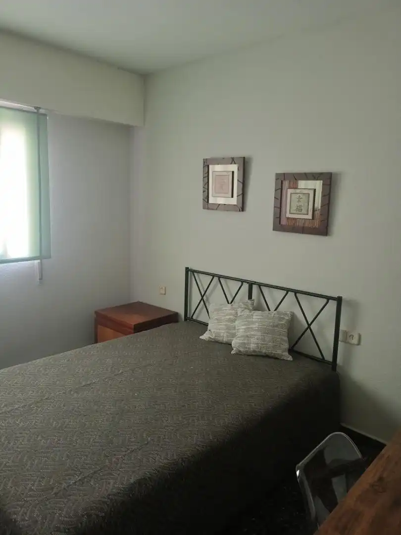 Piso de alquiler en Calle Blasco Ibáñez, 14, Centro Piso de alquiler en Calle Blasco Ibáñez, 14, Centro