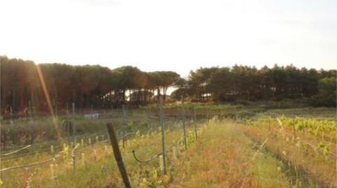 Finca rústica en venda a Diseminado Veinat de Sant Daniel, 79, Mas Mora - Sant Daniel, Barcelona - imatge 3 Foto 3 de Finca rústica en venda a Diseminado Veinat de Sant Daniel, 79, Mas Mora - Sant Daniel, Barcelona