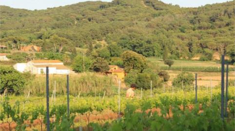 Finca rústica en venda a Diseminado Veinat de Sant Daniel, 79, Mas Mora - Sant Daniel, Barcelona - imatge 4 Foto 4 de Finca rústica en venda a Diseminado Veinat de Sant Daniel, 79, Mas Mora - Sant Daniel, Barcelona