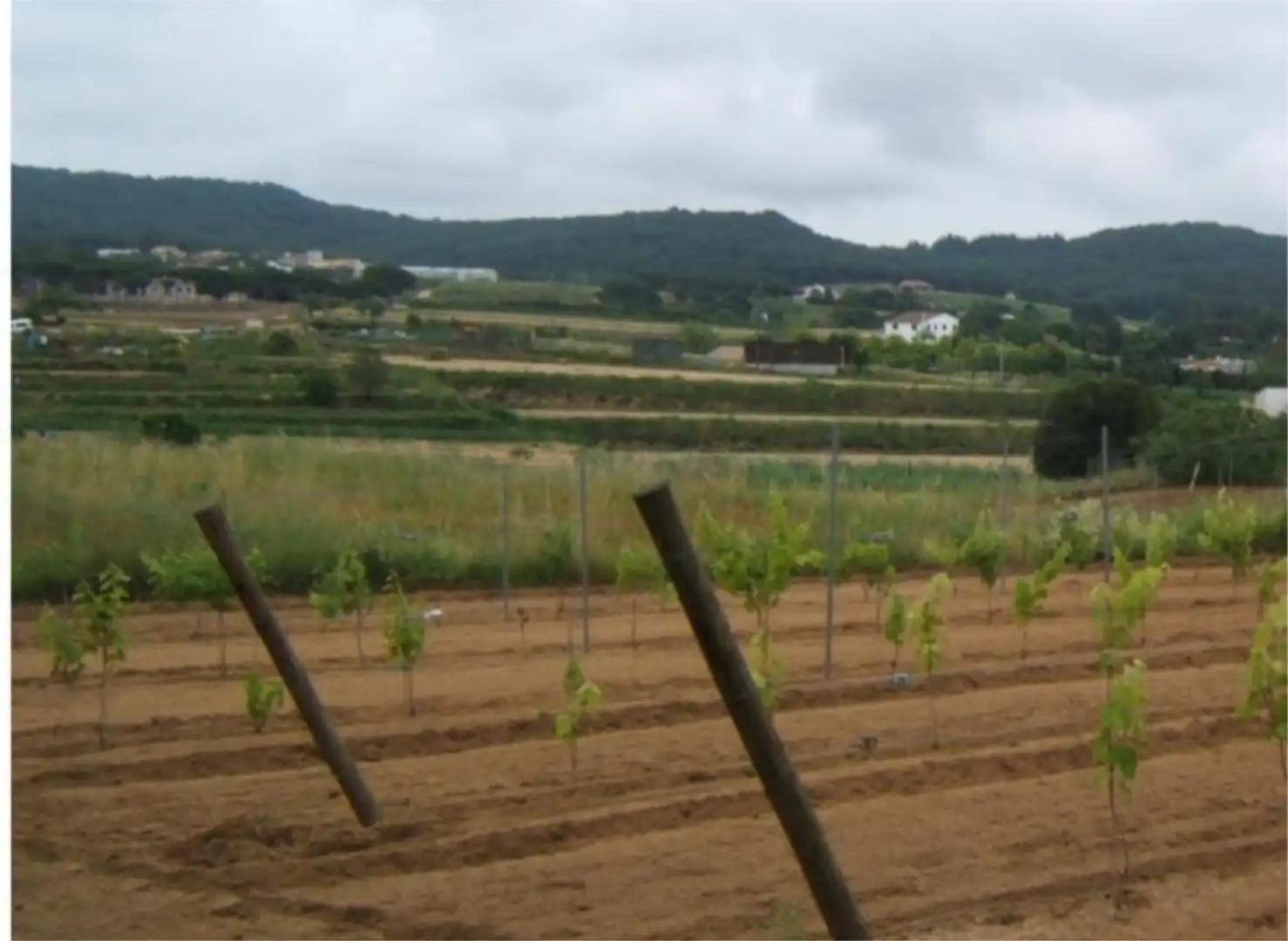 Finca rústica en venda a Diseminado Veinat de Sant Daniel, 79, Mas Mora - Sant Daniel Finca rústica en venda en Tordera amb Terrassa