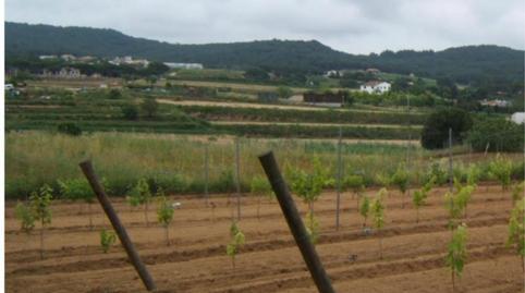 Finca rústica en venda a Diseminado Veinat de Sant Daniel, 79, Mas Mora - Sant Daniel, Barcelona - imatge 2 Foto 2 de Finca rústica en venda a Diseminado Veinat de Sant Daniel, 79, Mas Mora - Sant Daniel, Barcelona