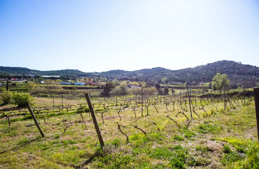 Finca rústica en venta en Diseminado Veinat de Sant Daniel, 79, Mas Mora - Sant Daniel Finca rústica en venta en Tordera con Terraza