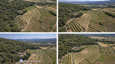 Finca rústica en venda a Diseminado Veinat de Sant Daniel, 79, Mas Mora - Sant Daniel, Tordera - imatge 4 Foto 4 de Finca rústica en venda a Diseminado Veinat de Sant Daniel, 79, Mas Mora - Sant Daniel, Tordera