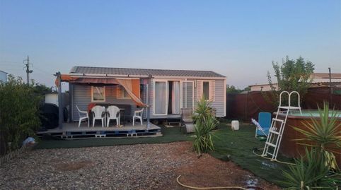 Foto 4 de Finca rústica en venta en Brenes, 8, Carmona, Sevilla