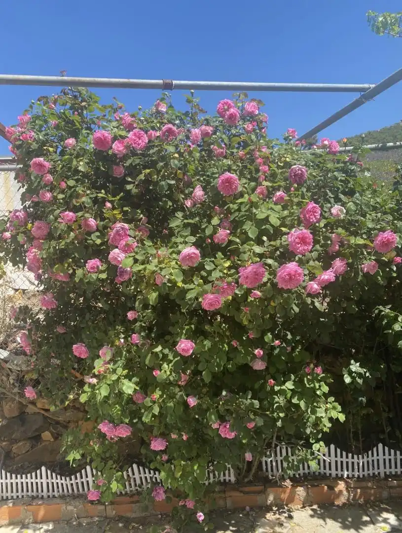 Finca rústica en venta en Plaza Constitución, 4, Navahermosa Jardín de Finca rústica en venta en Navahermosa con Jardín privado, Terraza y Trastero