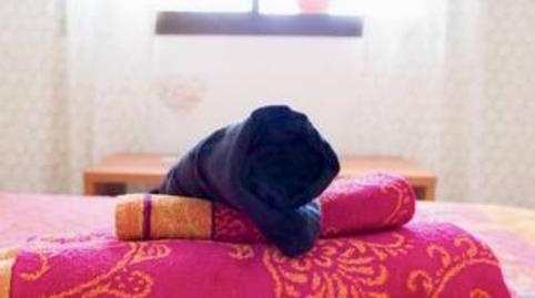 Foto 3 de Pis de lloguer a Carretera de la Costa, 80, Pla de Maset - Cap de Salou, Tarragona