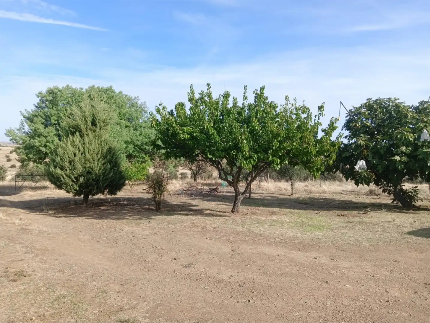 Country homes for sale in Avenida de Extremadura, 11, Trujillo Country homes for sale in Trujillo