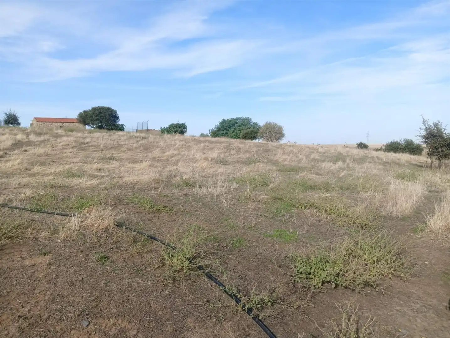 Country homes for sale in Avenida de Extremadura, 11, Trujillo Country homes for sale in Trujillo