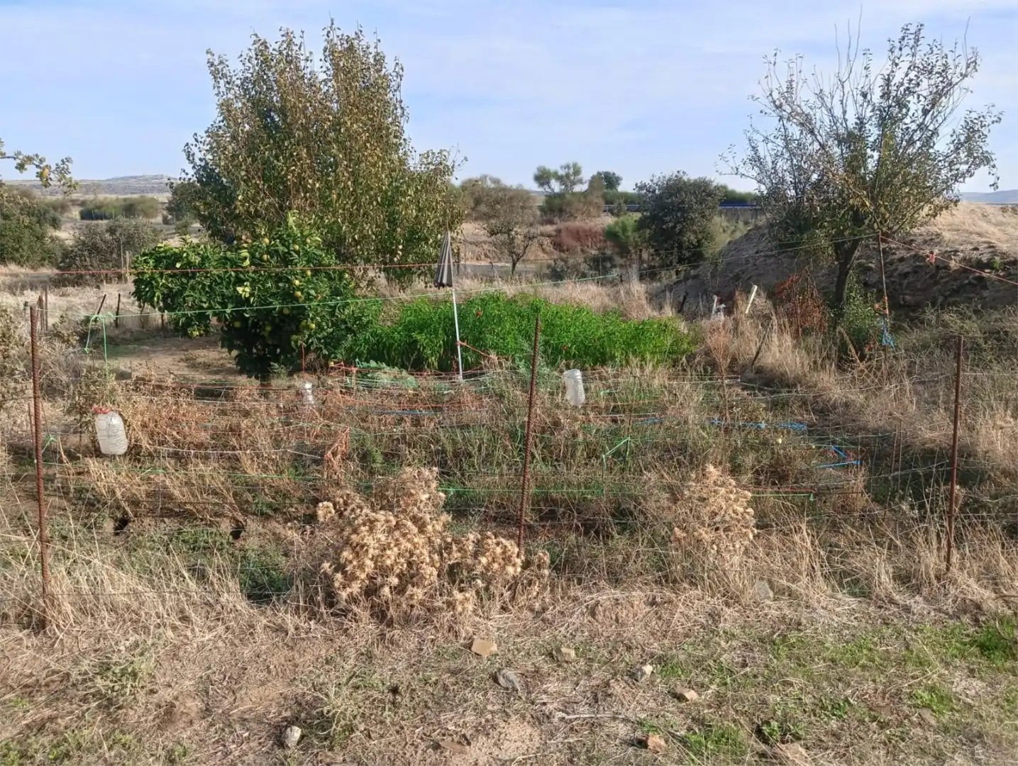 Country homes for sale in Avenida de Extremadura, 11, Trujillo Country homes for sale in Trujillo