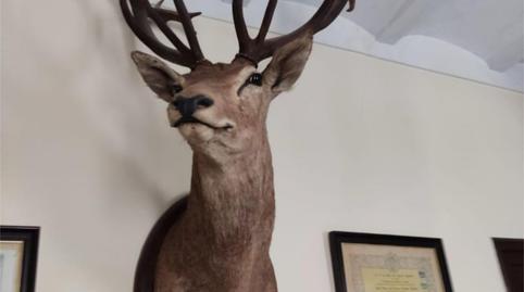 Flat for sale in Plaza Fuente Nueva, 3, Los Yébenes, Toledo - image 3 Photo 3 of Flat for sale in Plaza Fuente Nueva, 3, Los Yébenes, Toledo