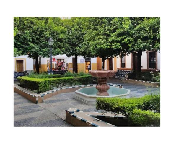 Piso en Venta en Plaza Jesús de la Pasión, 9 en Alfalfa - Santa Cruz