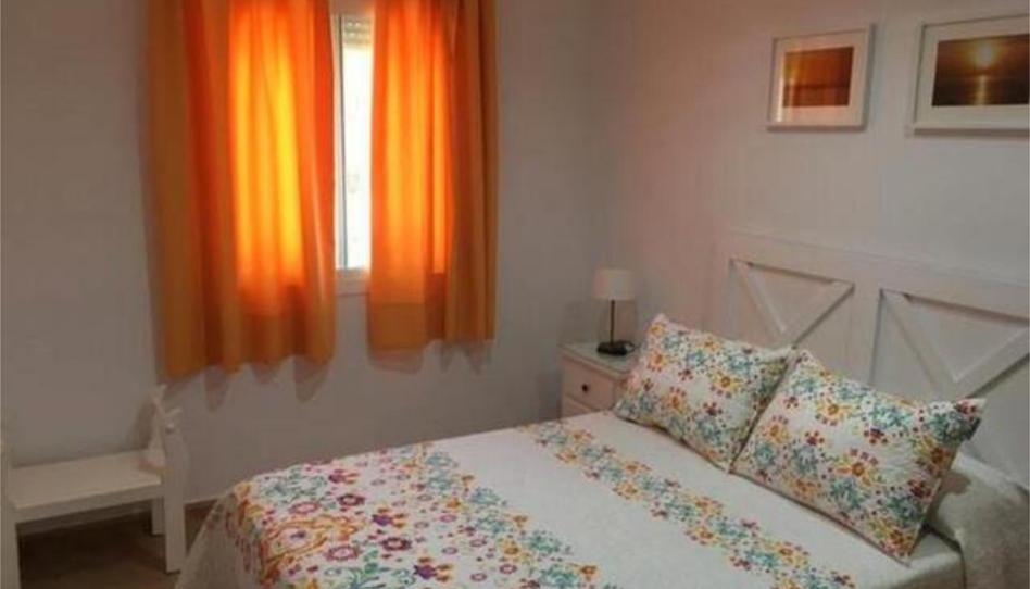 Flat to rent in La Barrosa, Cádiz - image 1 Photo 1 of Flat to rent in La Barrosa, Cádiz