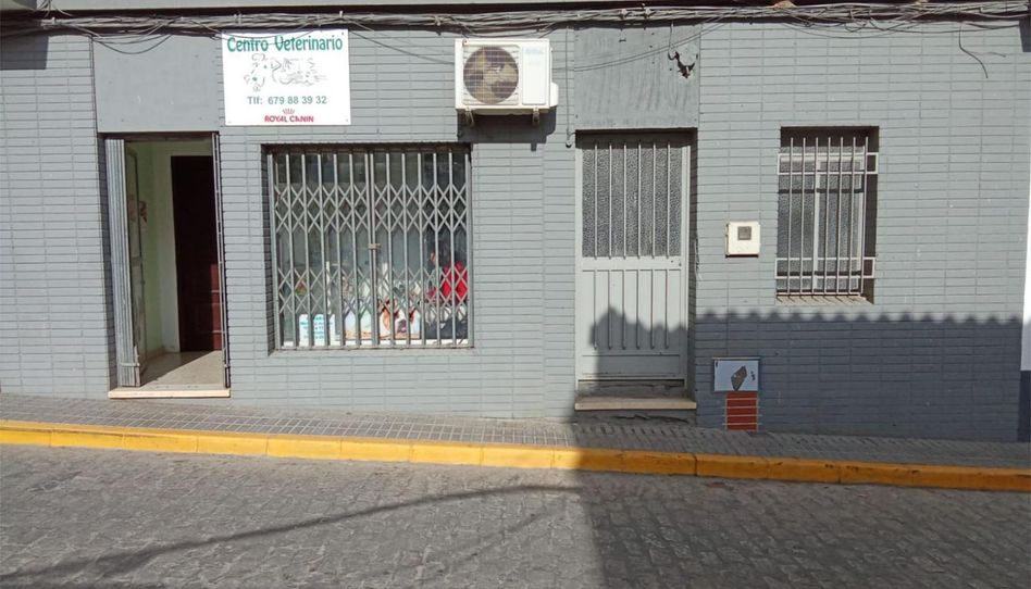 Premises for rent in Calle Doctor Sanchez Becerra, 2, Aznalcóllar, Sevilla - image 1 Photo 1 of Premises for rent in Calle Doctor Sanchez Becerra, 2, Aznalcóllar, Sevilla