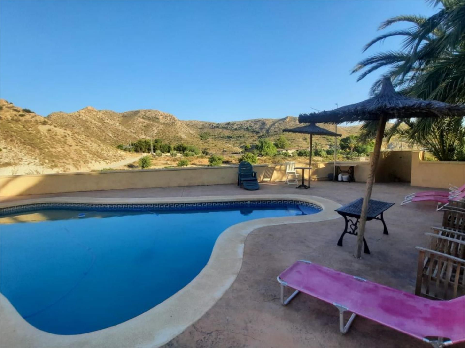 Piscina de Casa o xalet de lloguer en Elche / Elx amb Aire condicionat, Jardí privat i Terrassa