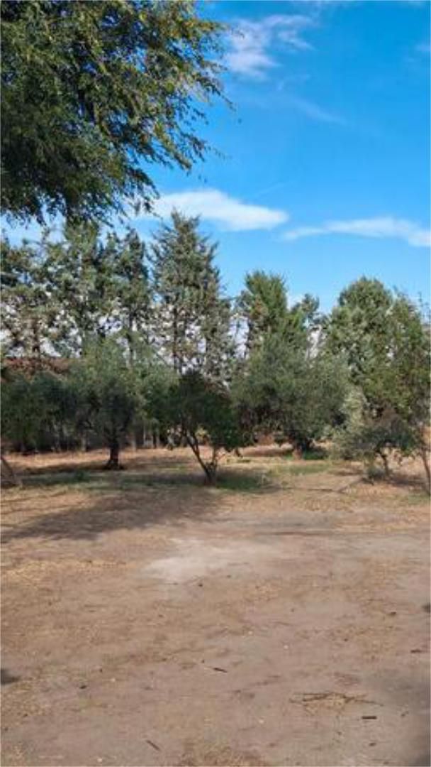 Single-family semi-detached for sale in Valdetorres de Jarama  with Terrace and Swimming Pool